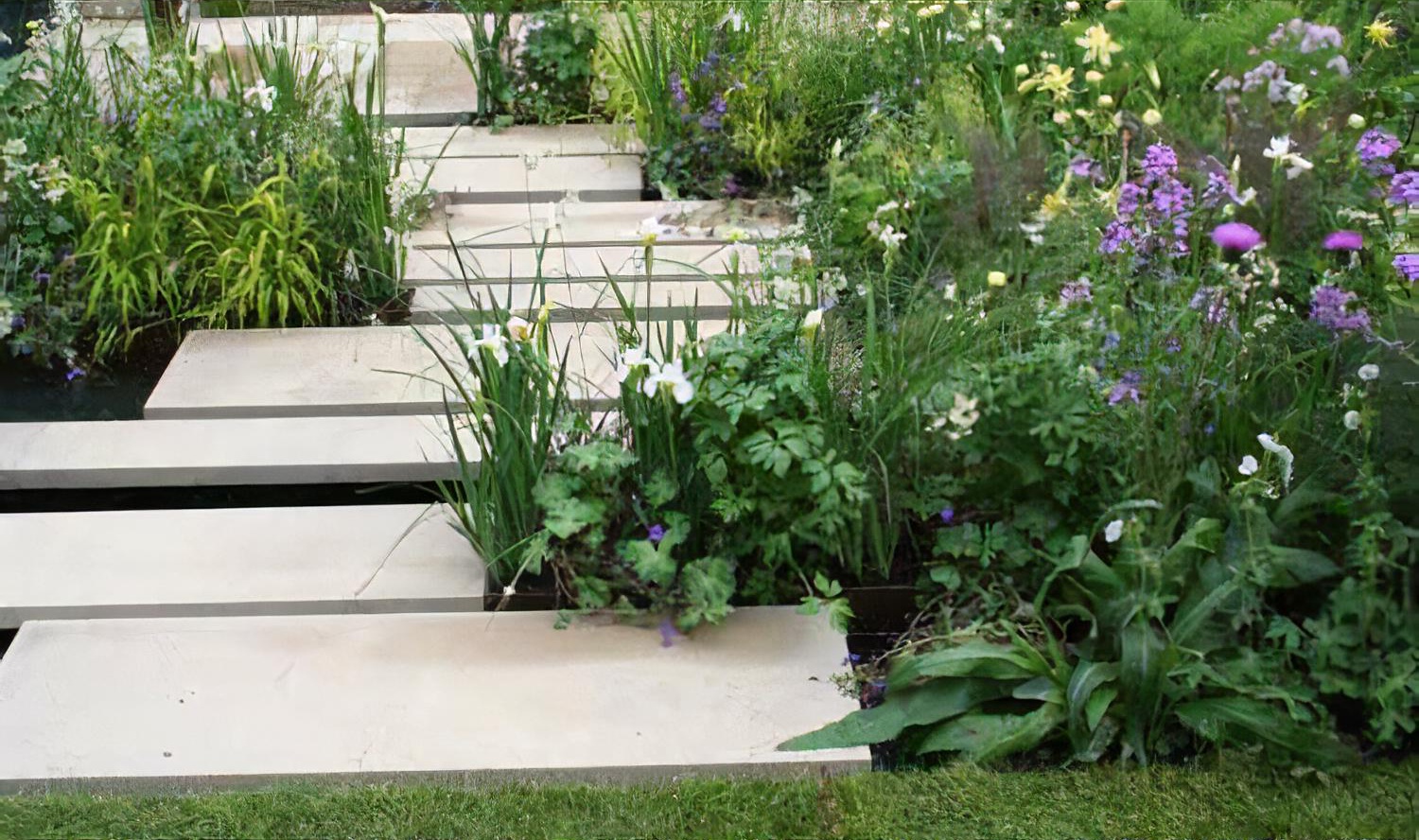 Chelsea 2008 qvc garden