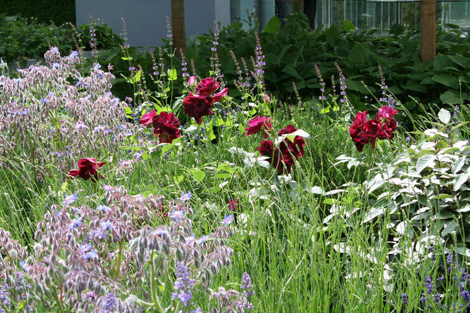 The B&Q Garden by garden designers Laurie Chetwood and Patrick Collins